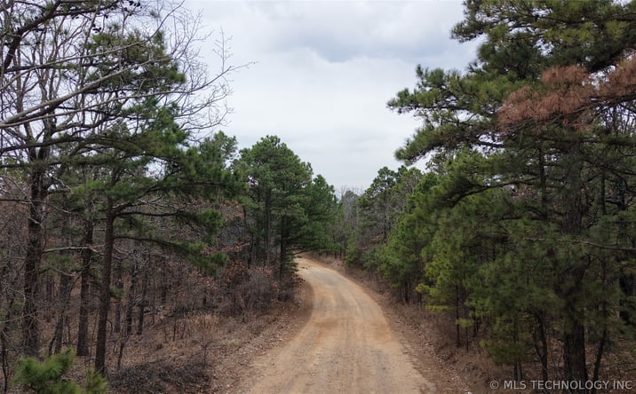 Pictures of Land property located at 1060, Panola, OK 74559 for sales - image #1