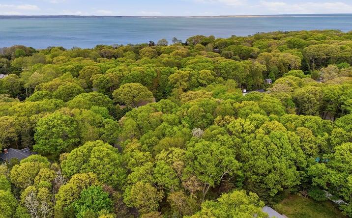 Pictures of Land property located at 29 Sheepfold Lane, East Hampton, NY 11937 for sales - image #1