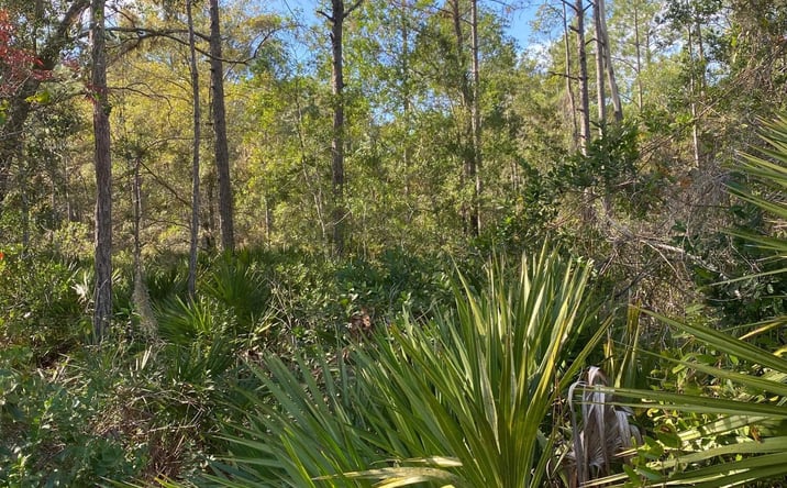 Pictures of Land property located at 820 Old Bubbly Road, Pierson, FL 32180 for sales - image #1