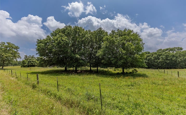 Pictures of Land property located at LOT 2 Mill Creek Ranch Road, New Ulm, TX 78950 for sales - image #1