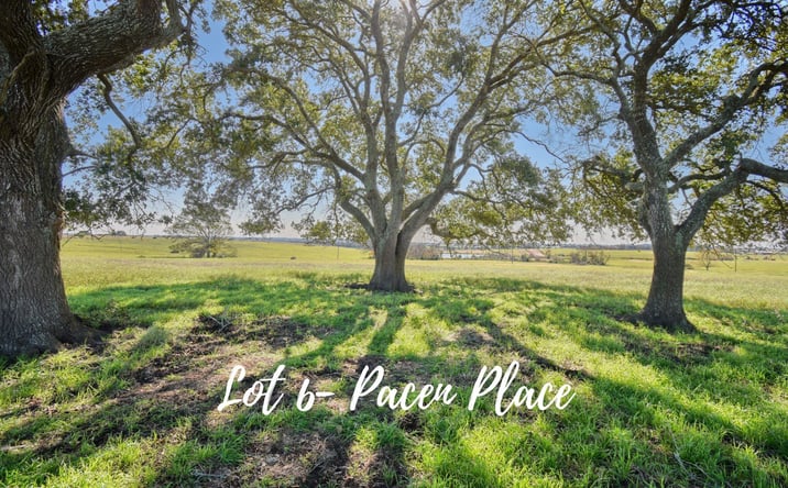 Pictures of Land property located at TBD 6 Pacen Place, Chappell Hill, TX 77426 for sales - image #1