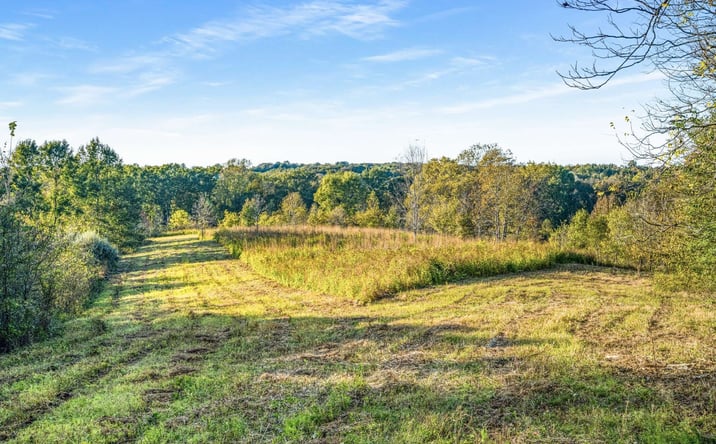 Pictures of Land property located at 697 Johnson Branch Rd, Williamsport, TN 38487 for sales - image #1