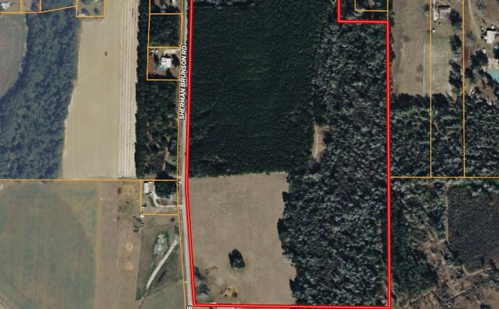 Pictures of Land property located at Sherman Brunson Road, Pansey, AL 36370 for sales - image #1