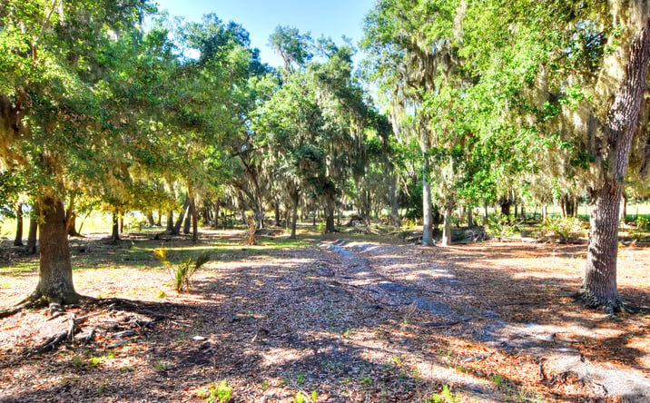 Pictures of Land property located at 18105 Dorman Road, Lithia, FL 33547 for sales - image #1