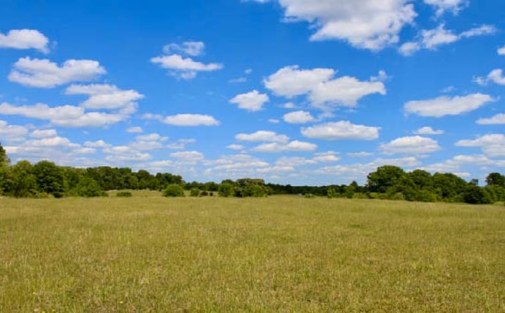 Pictures of Land property located at 528 Trinity Church Road, Mooresboro, NC 28114 for sales - image #1