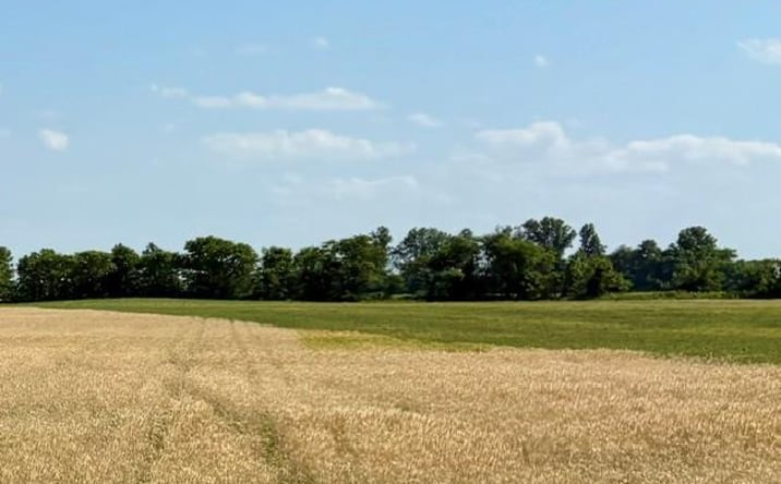 Pictures of Land property located at 0 S Highway BB, East Prairie, MO 63845 for sales - image #1