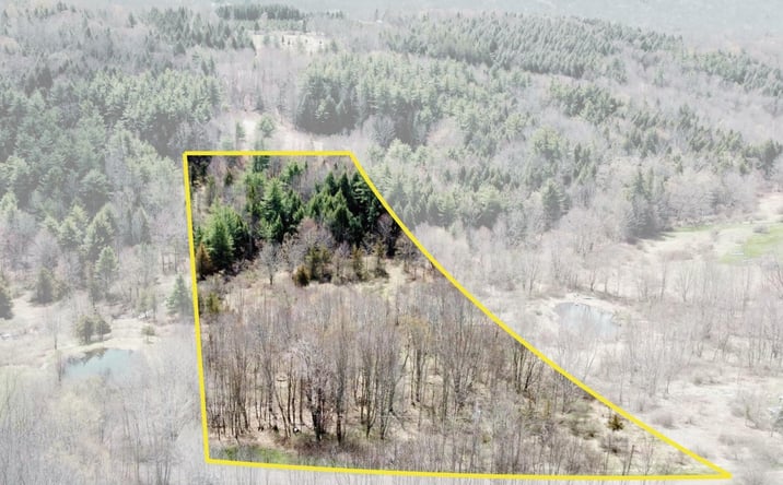 Pictures of Land property located at Charles Dent, Roxbury, NY 12434 for sales - image #1