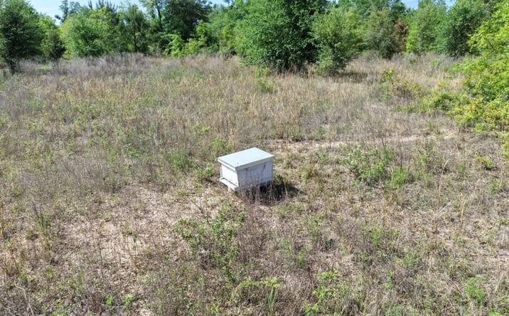 Pictures of Land property located at Vacant NE Cedar Trail, Pinetta, FL 32350 for sales - image #1