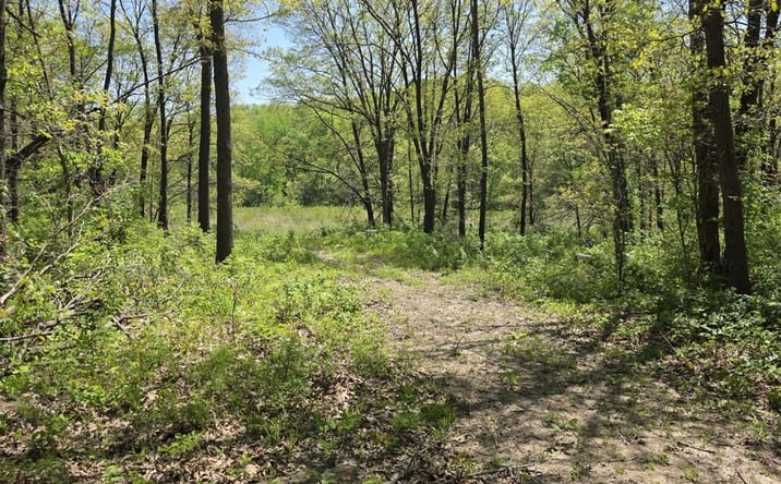 Pictures of Land property located at 0 Private Road, Unionville, MO 63565 for sales - image #1