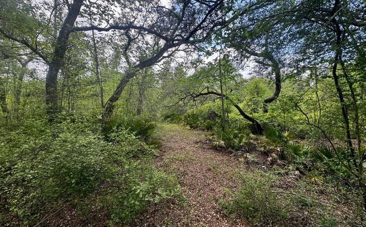 Pictures of Land property located at 3084 NE Chervil Dr, Lee, FL 32059 for sales - image #1