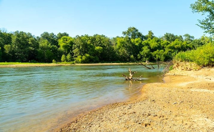 Pictures of Land property located at 0 County Rd. 532, Williamsville, MO 63967 for sales - image #1