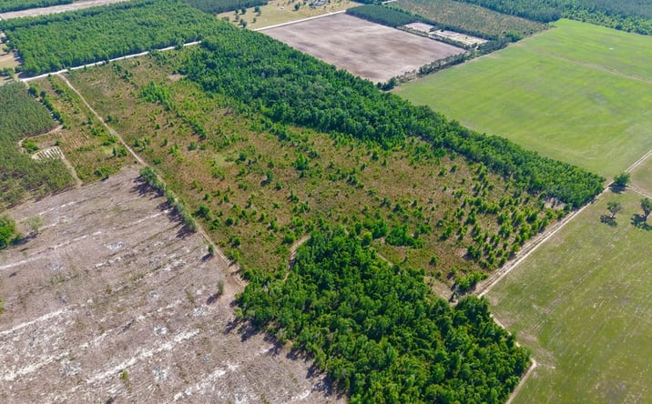 Pictures of Land property located at TBD 178th St, Live Oak, FL 32064 for sales - image #1