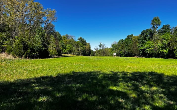 Pictures of Land property located at 1000 N Dawson Hollow Rd, Bonnieville, KY 42713 for sales - image #1