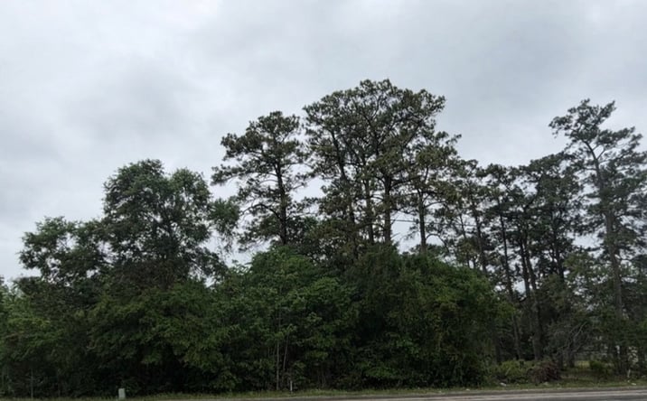 Pictures of Land property located at 0 FM 1485 Rd, New Caney, TX 77357 for sales - image #1