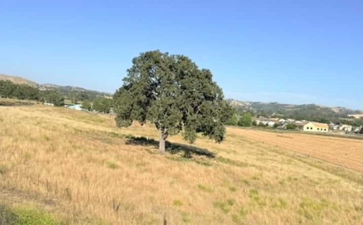 Pictures of Land property located at 301 North Main Street, Templeton, CA 93465 for sales - image #1