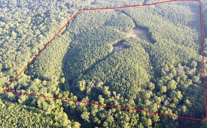 Pictures of Land property located at 920 White Pike, Cherokee, AL 35616 for sales - image #1