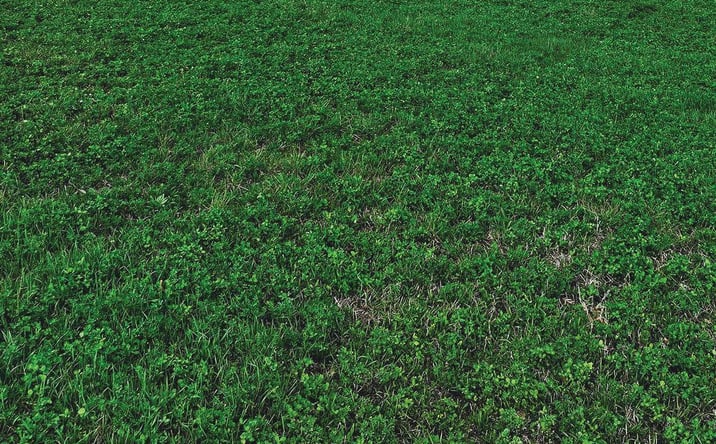 Pictures of Land property located at 31450 510th Street, Russell, IA 50238 for sales - image #1