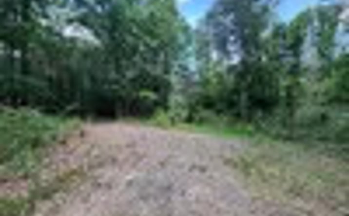 Pictures of Land property located at 000 Ricks Cemetery Road, Leighton, AL 35646 for sales - image #1