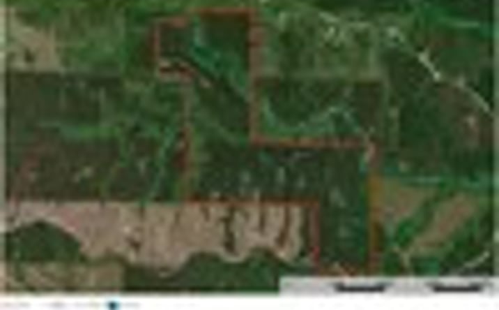 Pictures of Land property located at 000 County Road 429, Double Springs, AL 35553 for sales - image #1