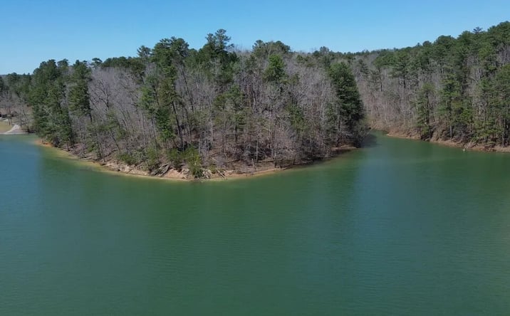 Pictures of Land property located at 000 Co Rd 3133, Houston, AL 35572 for sales - image #1