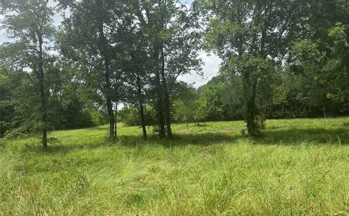 Pictures of Land property located at Buffalo Crossing, Durant, OK 74701 for sales - image #1