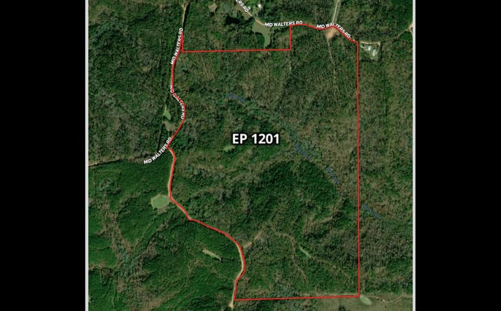 Pictures of Land property located at Mid Walter Road, Gordo, AL 35466 for sales - image #1