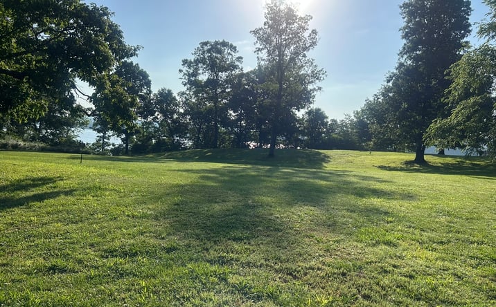 Pictures of Land property located at 602 S Raum Park Drive, Golconda, IL 62938 for sales - image #1