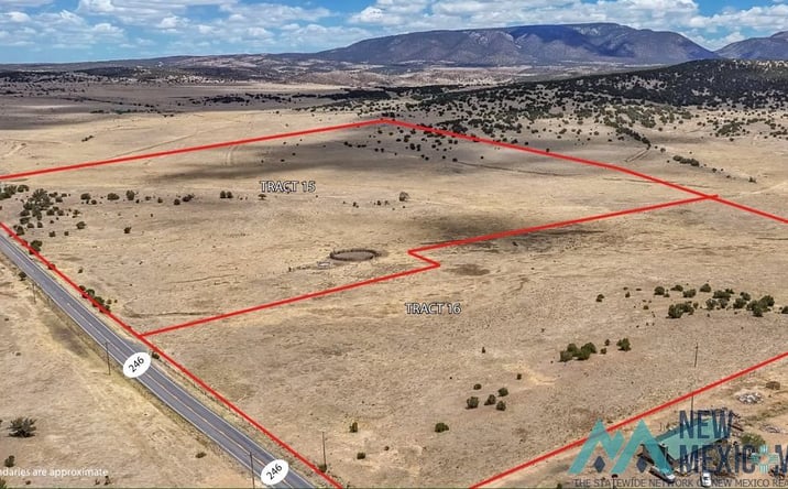 Pictures of Land property located at N 246, Capitan, NM 88316 for sales - image #1