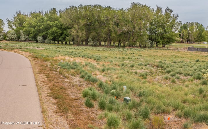 Pictures of Land property located at 5933 VISTA DEL RIO Court, Farmington, NM 87402 for sales - image #1