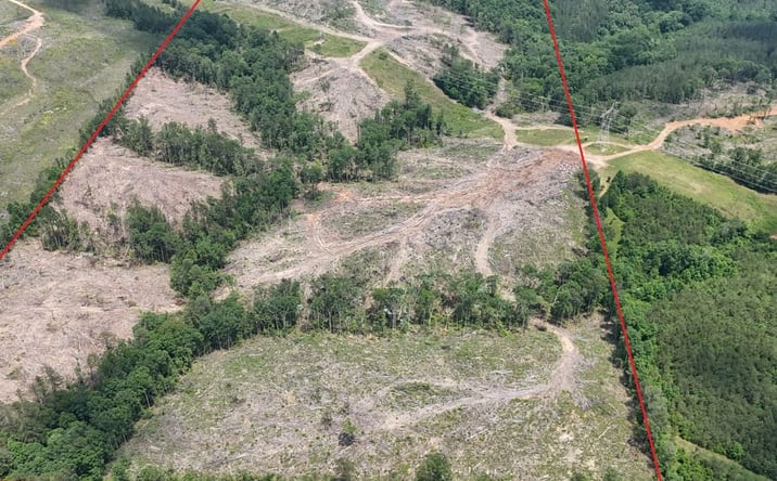 Pictures of Land property located at Clifty Road, Hamilton, AL 35570 for sales - image #1