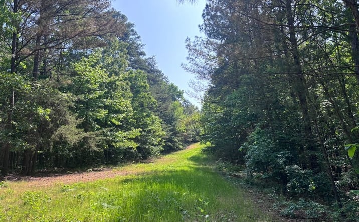Pictures of Land property located at 1900 County Road 30, Winfield, AL 35594 for sales - image #1