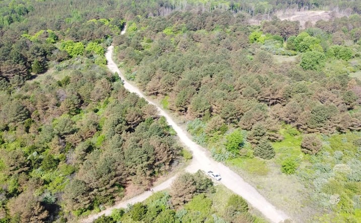 Pictures of Land property located at 000 County Road 9, Lynn, AL 35575 for sales - image #1