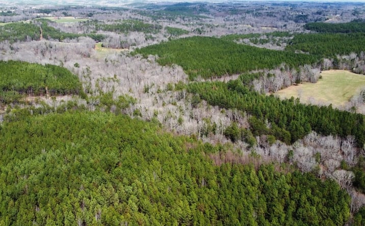 Pictures of Land property located at 000 Macedonia Rd, Double Springs, AL 35553 for sales - image #1