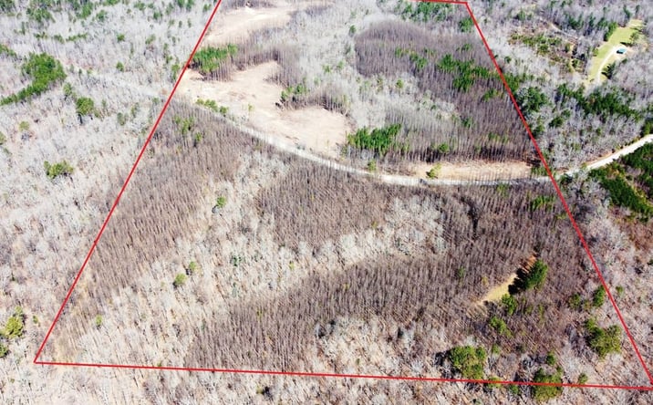 Pictures of Land property located at 000 County Road 2, Double Springs, AL 35553 for sales - image #1