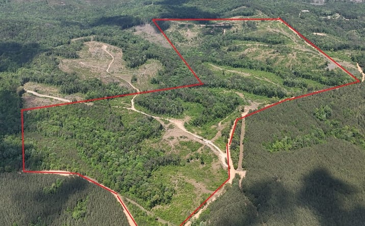 Pictures of Land property located at Mid Walter Road, Moores Bridge, AL 35466 for sales - image #1