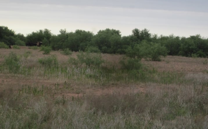 Pictures of Land property located at East Half and NW/4 Sectio W and NW RR Survey, Childress, TX 79201 for sales - image #1