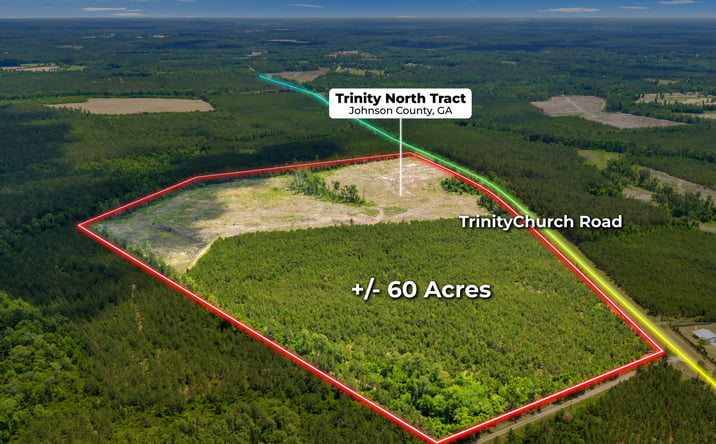 Pictures of Land property located at Trinity North, Adrian, GA 31002 for sales - image #1