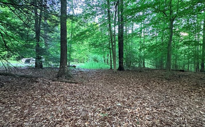 Pictures of Land, Multifamily property located at Ledgeview Dr, Fayetteville, WV 25840 for sales - image #1