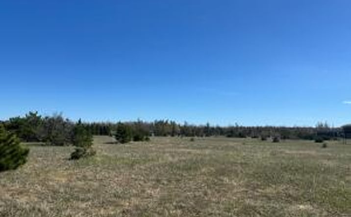 Pictures of Land property located at Parcel C Old 27 N. Highway, Vanderbilt, MI 49795 for sales - image #1