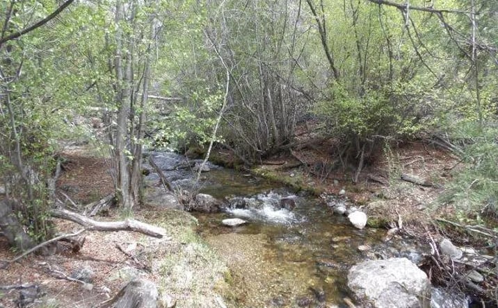 Pictures of Land property located at 4186 Caprice Way, Crestone, CO 81131 for sales - image #1
