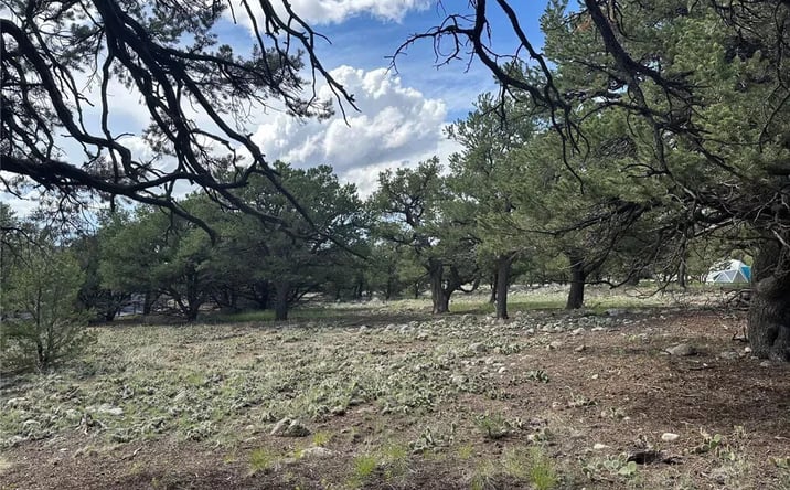 Pictures of Land property located at 3694 Enchanted Way, Crestone, CO 81131 for sales - image #1