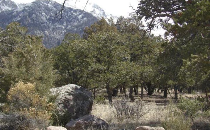 Pictures of Land property located at 255 Baca Grant Way, Crestone, CO 81131 for sales - image #1