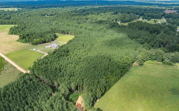 Pictures of Land property located at J Runnels Road, 70481, MS 39465 for sales - image #1