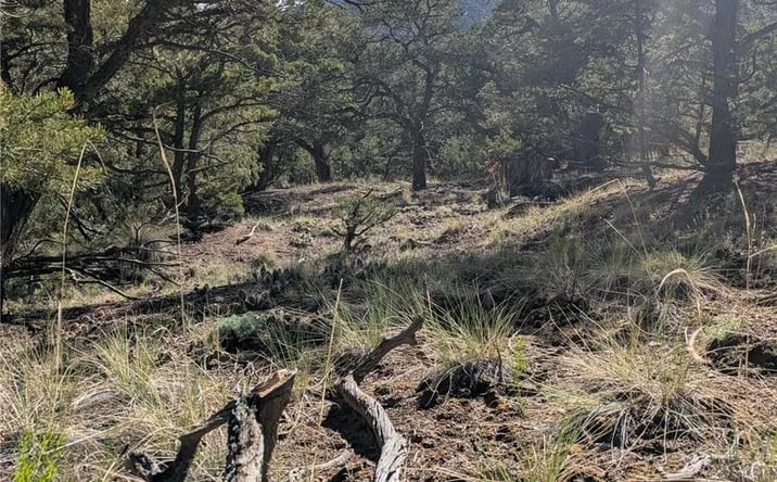Pictures of Land property located at 1813 Rockyview Way, Crestone, CO 81131 for sales - image #1