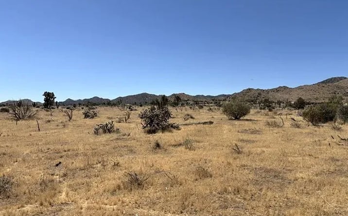Pictures of Land property located at 58225 San Andreas, Yucca Valley, CA 92284 for sales - image #1