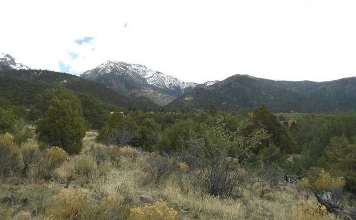 Pictures of Land property located at 918 Pine Cone Way, Crestone, CO 81131 for sales - image #1