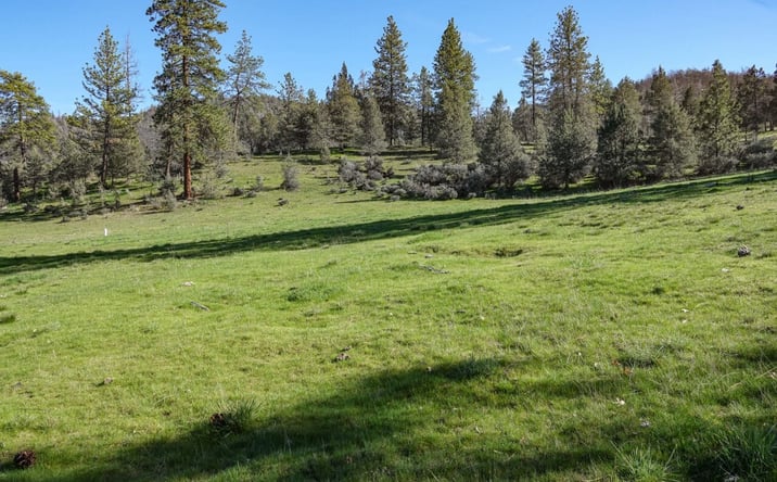 Pictures of Land property located at 000 Scarface Rd, Fort Jones, CA 96097 for sales - image #1