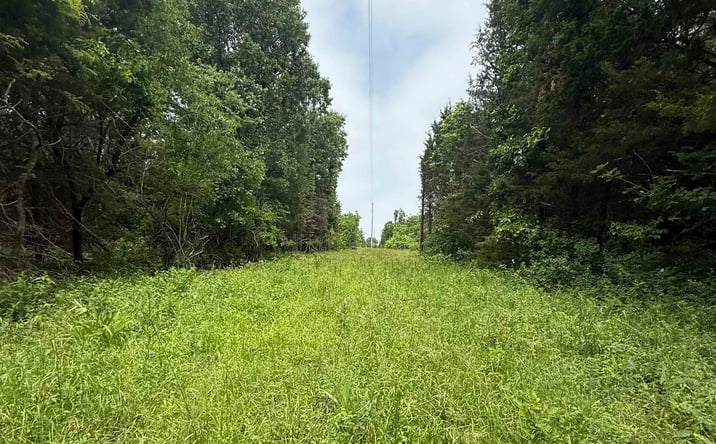 Pictures of Land, Special Purpose property located at 51.4+/-acres SE 1100, Deepwater, MO 64740 for sales - image #1