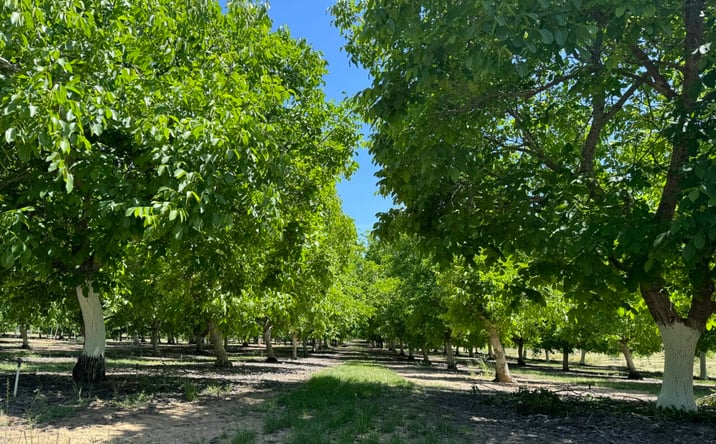 Pictures of Land property located at 18525 Farquhar Road, Cottonwood, CA 96022-9322 for sales - image #1