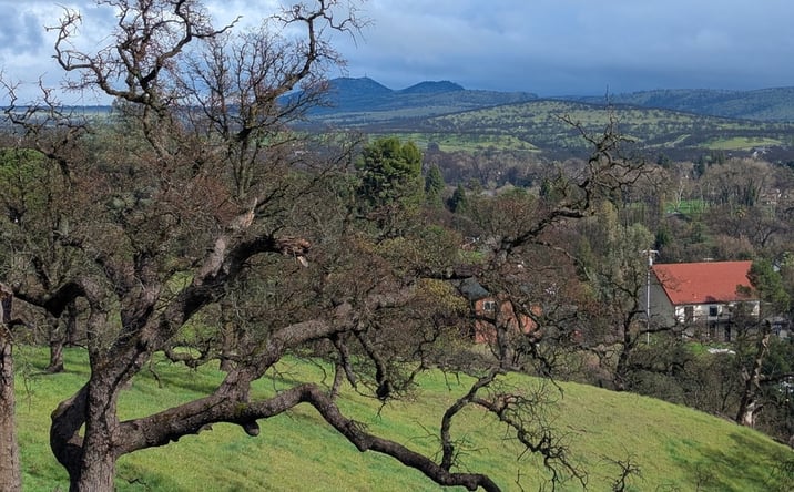 Pictures of Land property located at 0000 Knob Hill Pl., Red Bluff, CA 94109 for sales - image #1